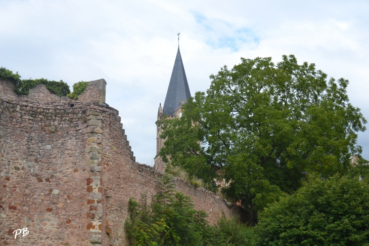 -Château de La Palice ( 12 Em Siècle ) - Lapalisse