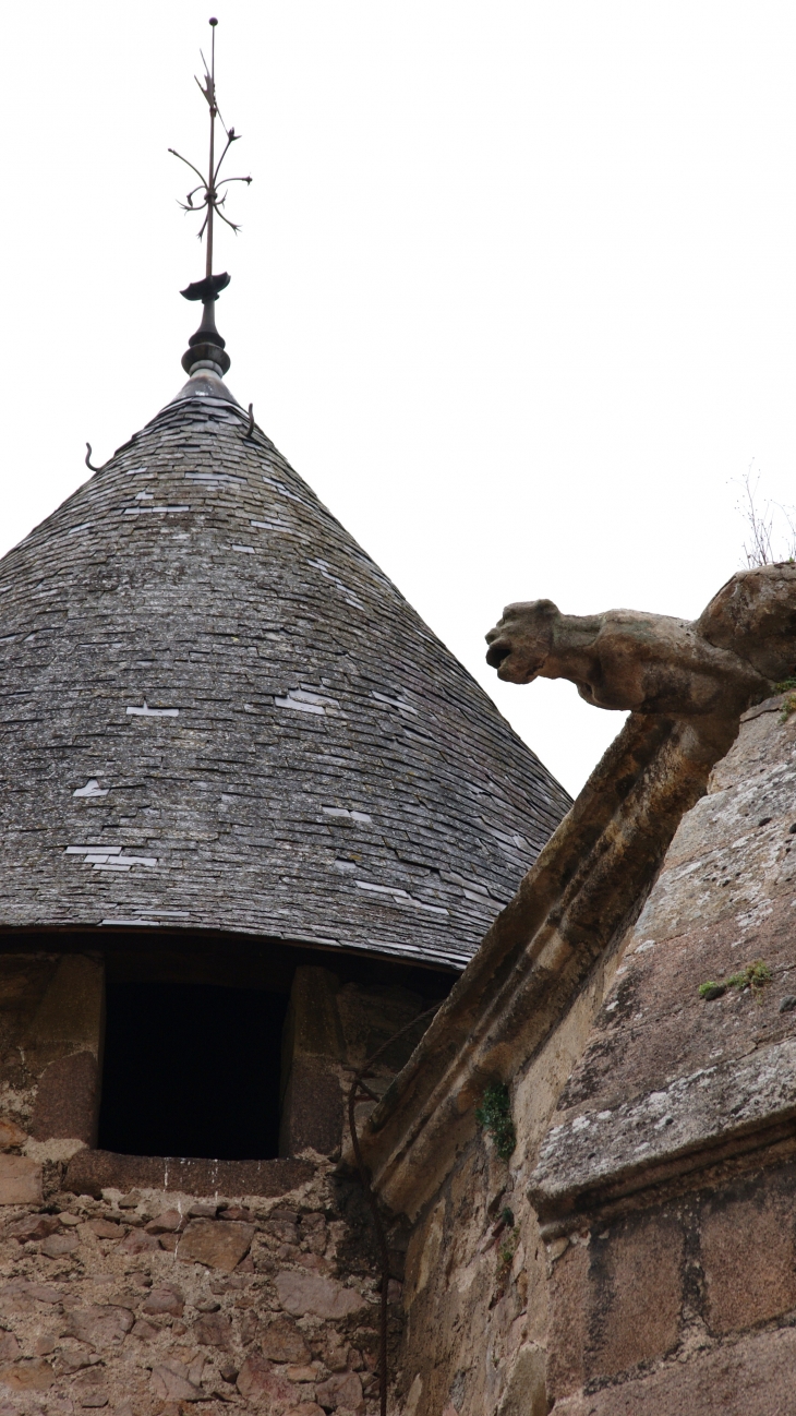 -Château de La Palice ( 12 Em Siècle ) - Lapalisse