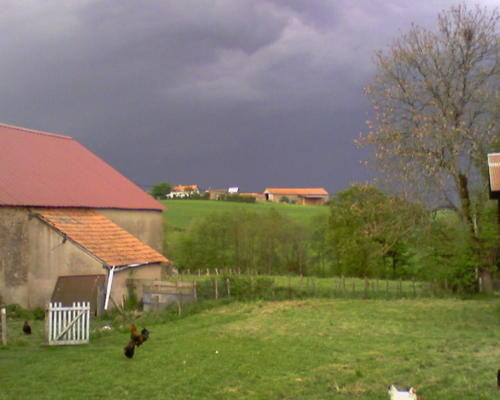 Ferme du bois debut - Loddes