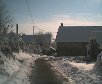 Les grands matrats sous la neige - Loddes