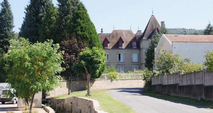 Le Château ( 13 Em Siècle ) - Mariol