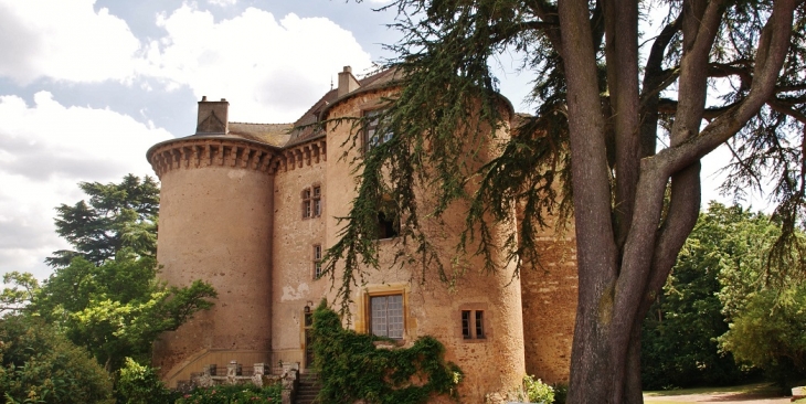 Château de Montaiguët - Montaiguët-en-Forez