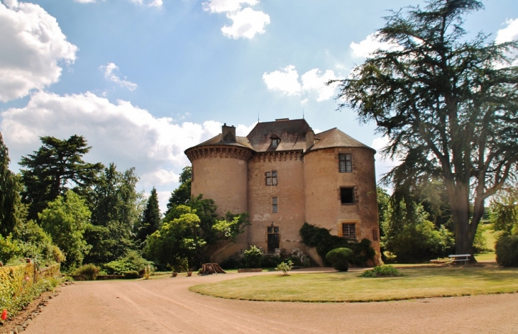 Château de Montaiguët - Montaiguët-en-Forez