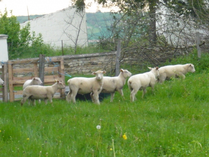 Voisinage - Saint-Bonnet-de-Rochefort