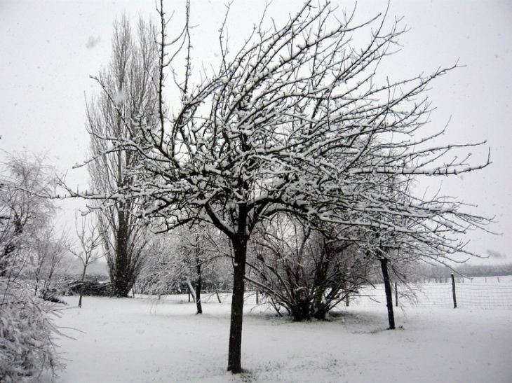 Pommier en neige - Saint-Bonnet-de-Rochefort