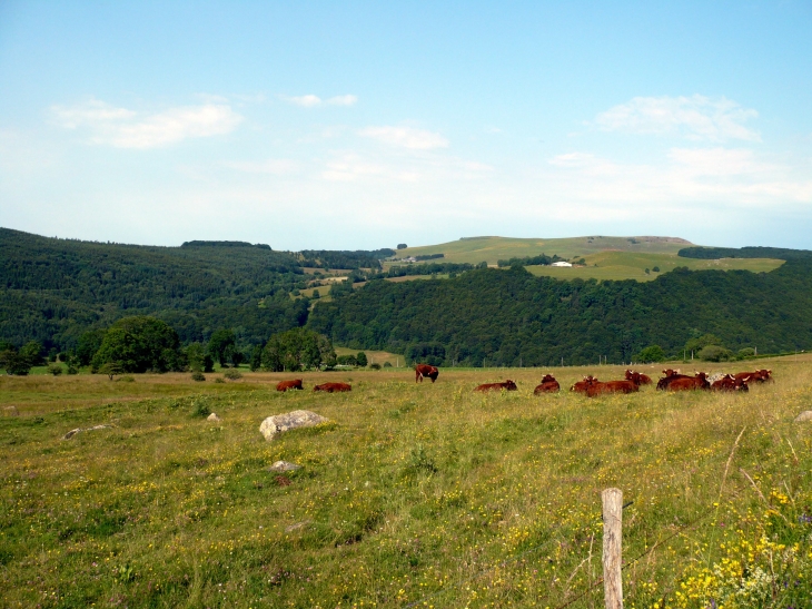 Aux alentours - Anglards-de-Saint-Flour