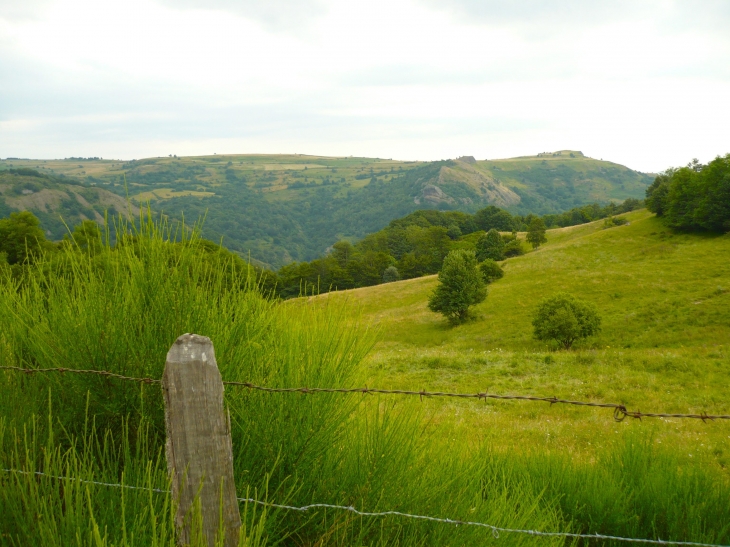 Paysage aux alentours. - Charmensac