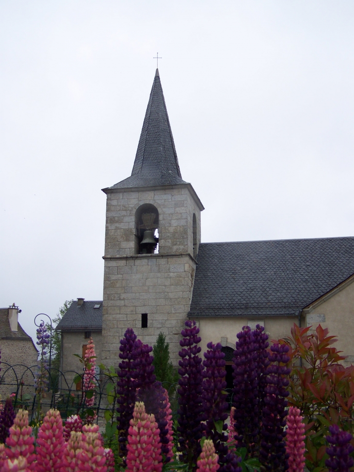 église Saint-Martin - Fridefont