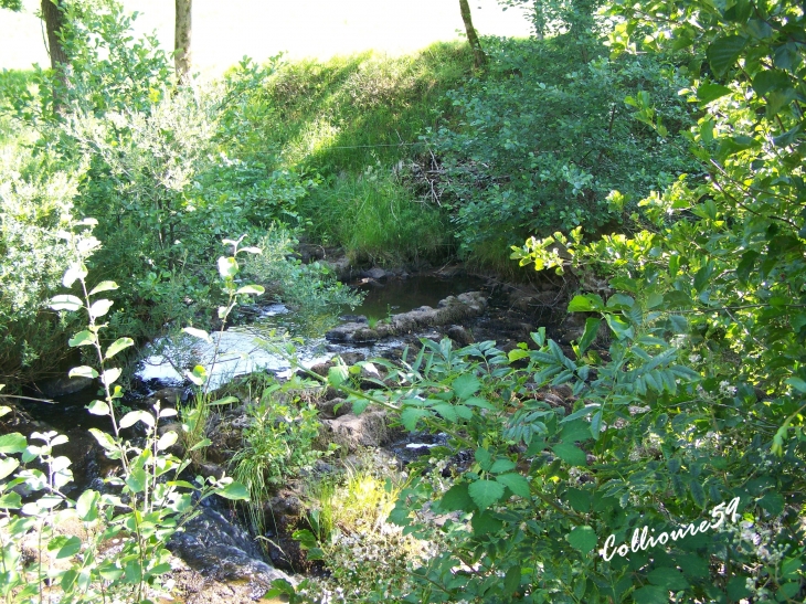 La Cascade de Salins - Mauriac