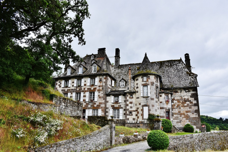 Château de Courbelimagne - Raulhac