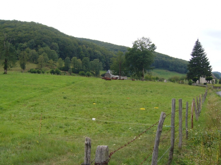 La vraie campagne, et qu'elle est belle! - Saint-Cernin