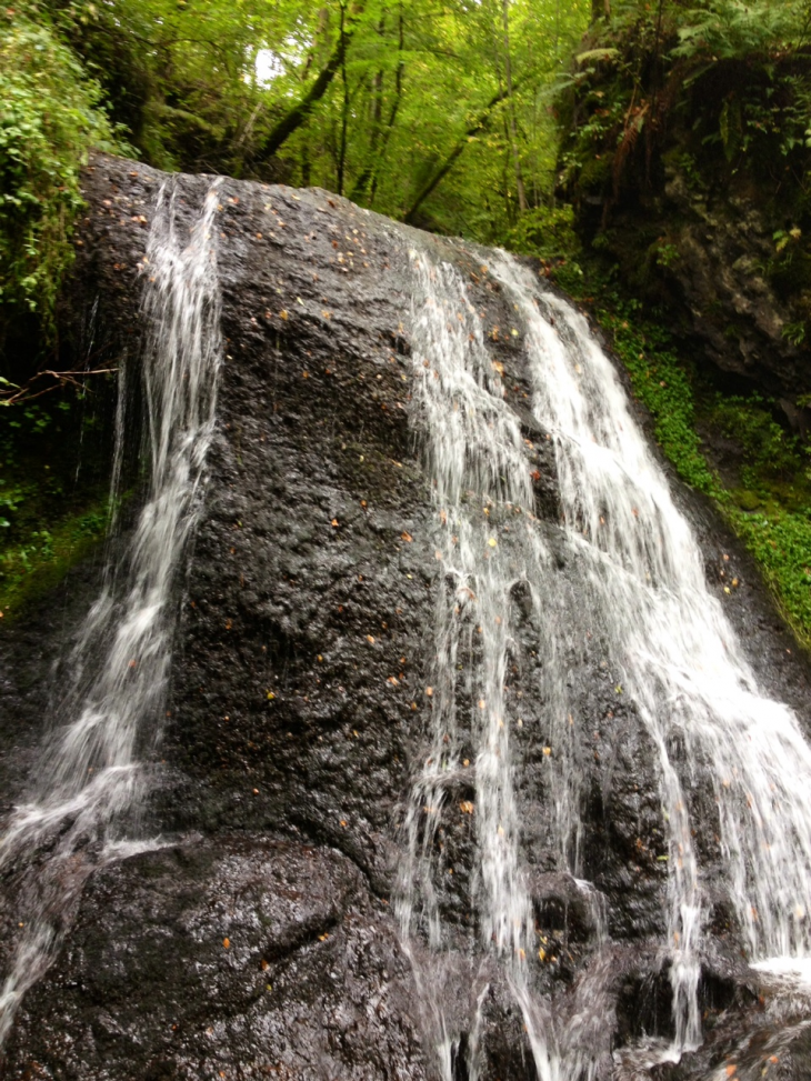 Cascade dans les gorges de la Jordanne. - Saint-Cirgues-de-Jordanne