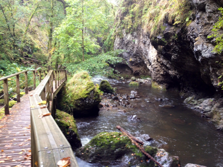 Gorges de la Jordanne. - Saint-Cirgues-de-Jordanne