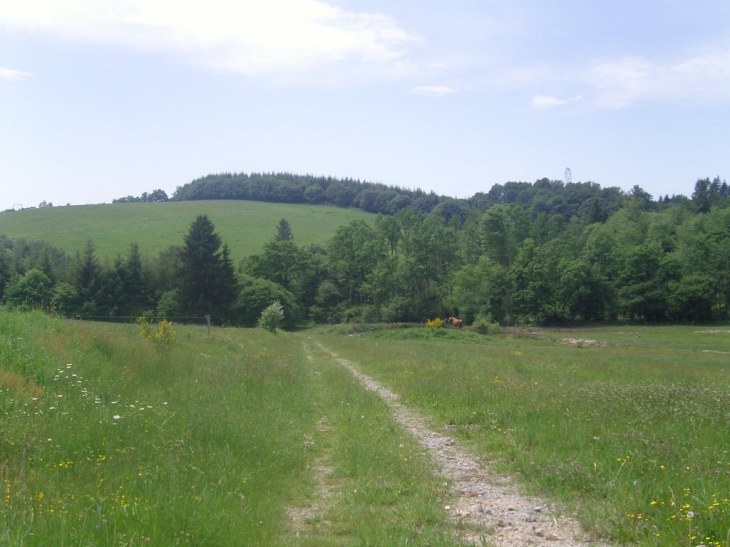 Le maurel - Saint-Gérons