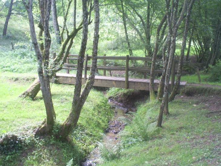 Sous bois à Espinet - Saint-Gérons