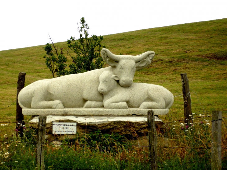 Honneur à Toi Salers de nos montagnes.