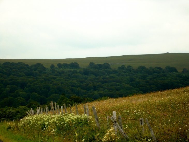 Paysage autour de Salers.