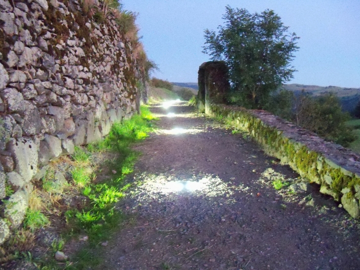 Chemin des Loups - Salers