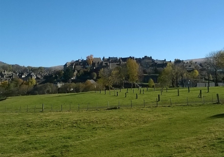 Vue générale en été - Salers