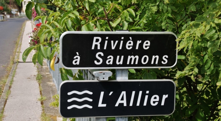 L'Allier - Alleyras