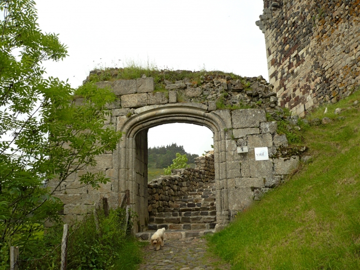 Entrée du château - Arlempdes