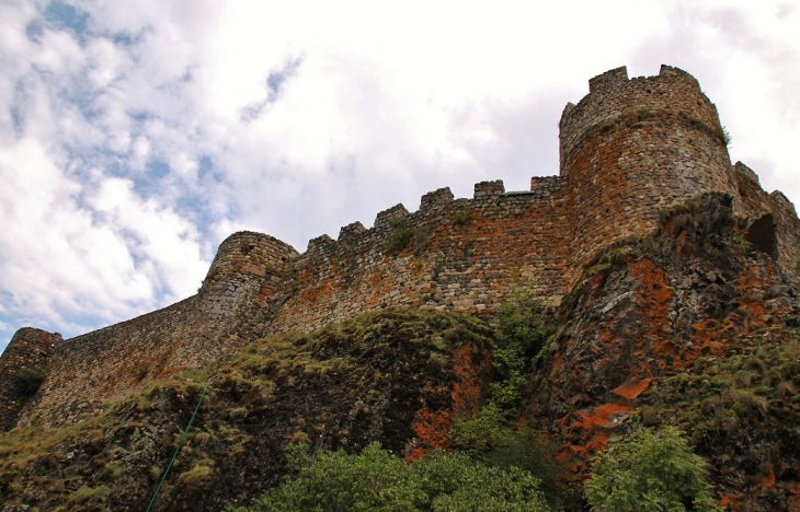 Le Château - Arlempdes