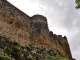 Photo précédente de Arlempdes Le Château