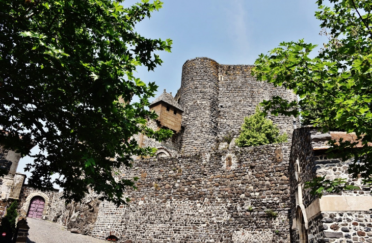 Bouzols ( Le Château ) - Arsac-en-Velay