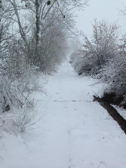 Dans les environs de Brioude