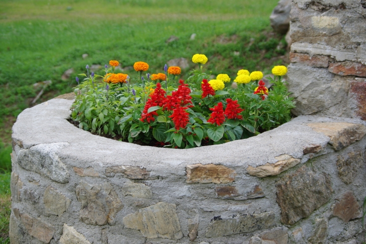 PLANTATION DE FLEURS - Desges