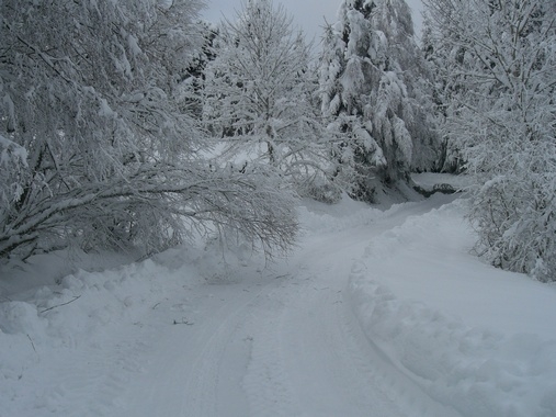 Sur la route d'Aubaron - Fix-Saint-Geneys