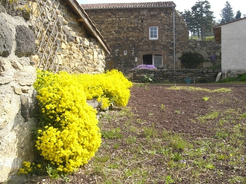 Printemps éclatant à Aubaron - Fix-Saint-Geneys