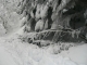 quelques arbres couchés sur la route