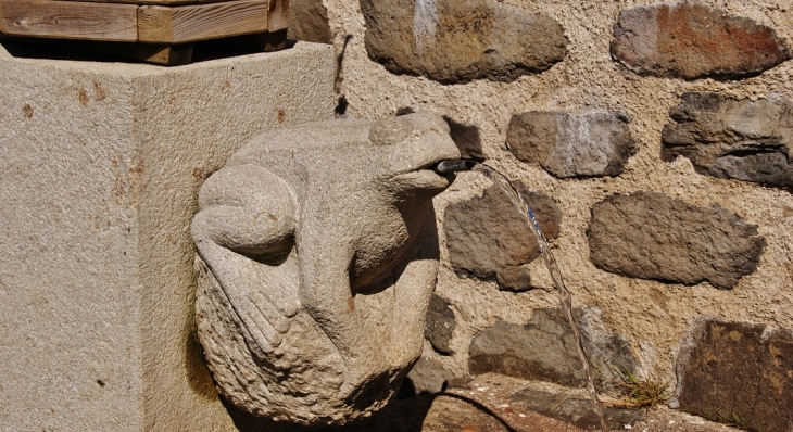 La Fontaine ( Détail ) - Freycenet-la-Tour