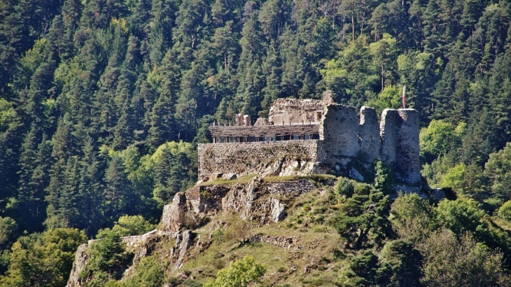 Ruines du Château - Goudet