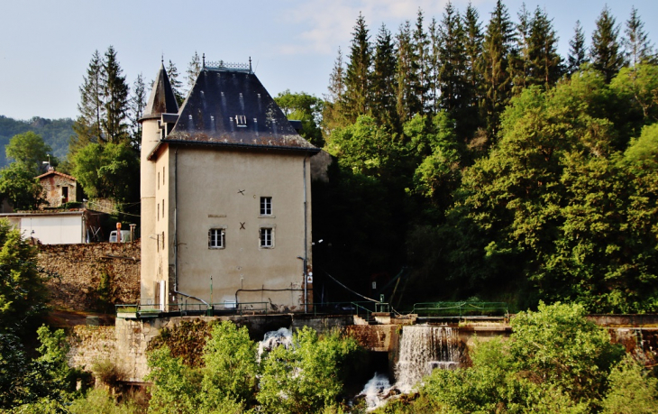 Le Château - Lavoûte-sur-Loire