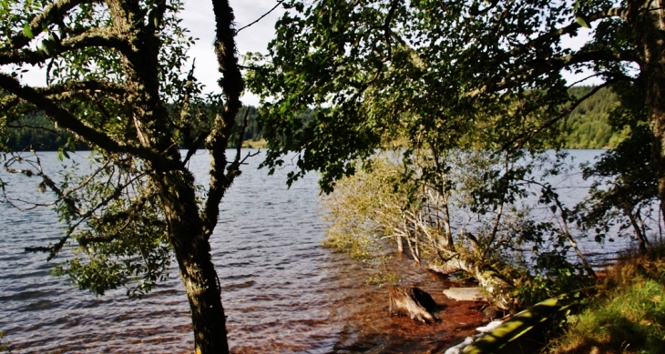 Le Lac du Bouchet - Le Bouchet-Saint-Nicolas