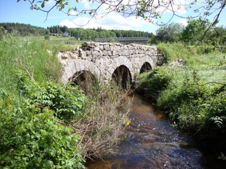 Le Chambon-sur-Lignon (43400) Le Cholet au lieu-dit Le Genest