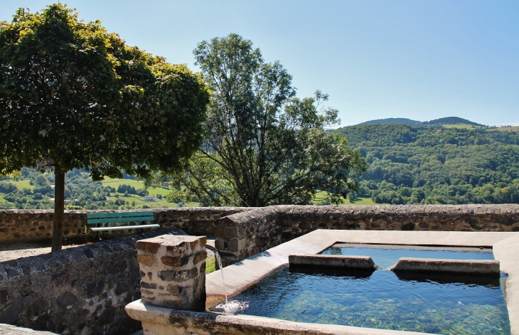 Le Lavoir - Le Monastier-sur-Gazeille