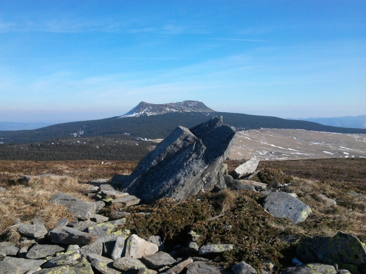 Le Mont Mézenc depuis le Mont Alambre - Les Estables