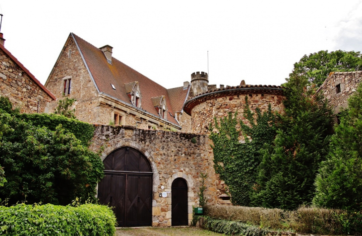 Le Château - Paulhac