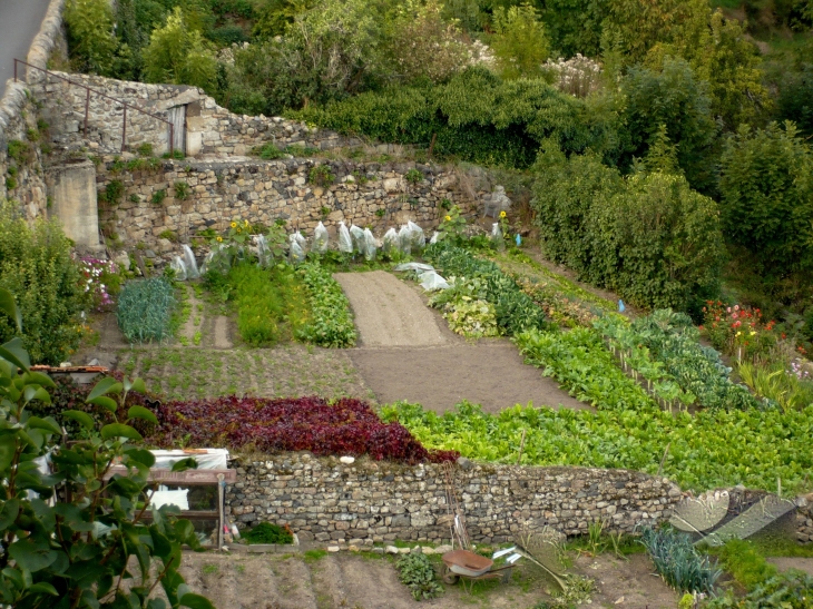 Jardin dans les murs. - Pradelles