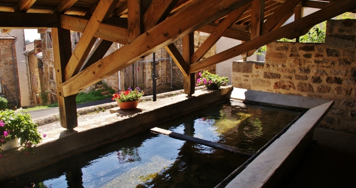 Le Lavoir - Pradelles