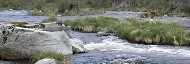 Gorges de l'Allier - Rauret