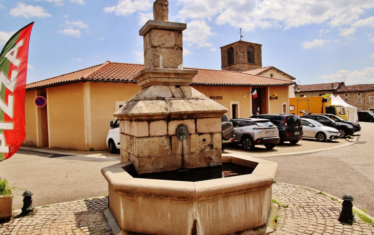 Fontaine - Saint-André-de-Chalencon