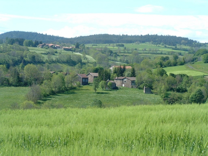 Le monteil et freycenet de St Arcons de Barges - Saint-Arcons-de-Barges