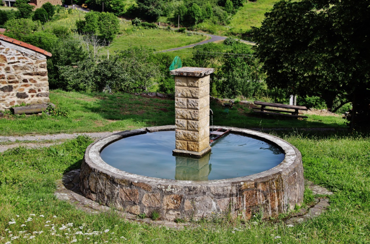 Fontaine - Saint-Austremoine