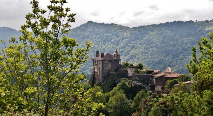 Le Château - Saint-Didier-d'Allier