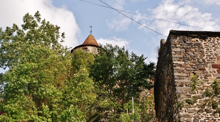 Le Château - Saint-Didier-d'Allier