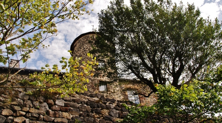 Le Château - Saint-Didier-d'Allier